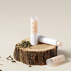 Leegeehaam Dr.Ceuracle vegan kombucha tea lip balm tube shown for portable hydration on the go.