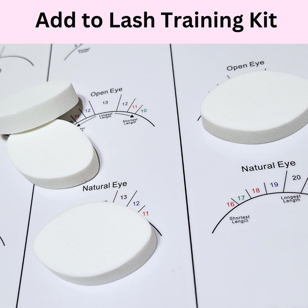 LEES A.M. lash artist designed sponges for beginner technique development