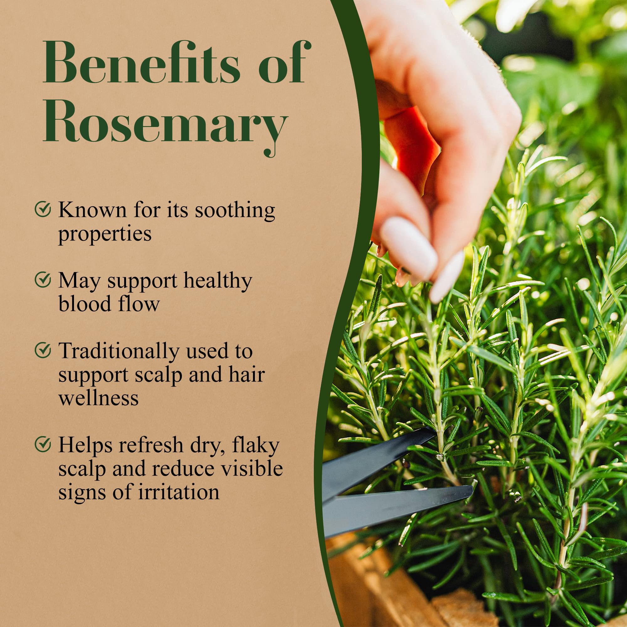Lia Organics rosemary-water spray dispense emphasizes easy post-wash refresh.