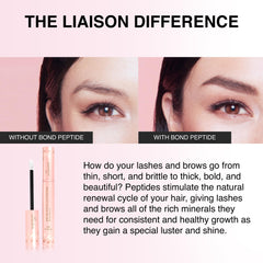 Liaison serum ingredients include peptides and biotin boosting brow resilience.