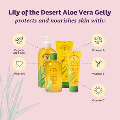 Organic aloe fields show Lily Of The Desert Gelly Moisturizer as a natural hydration source.