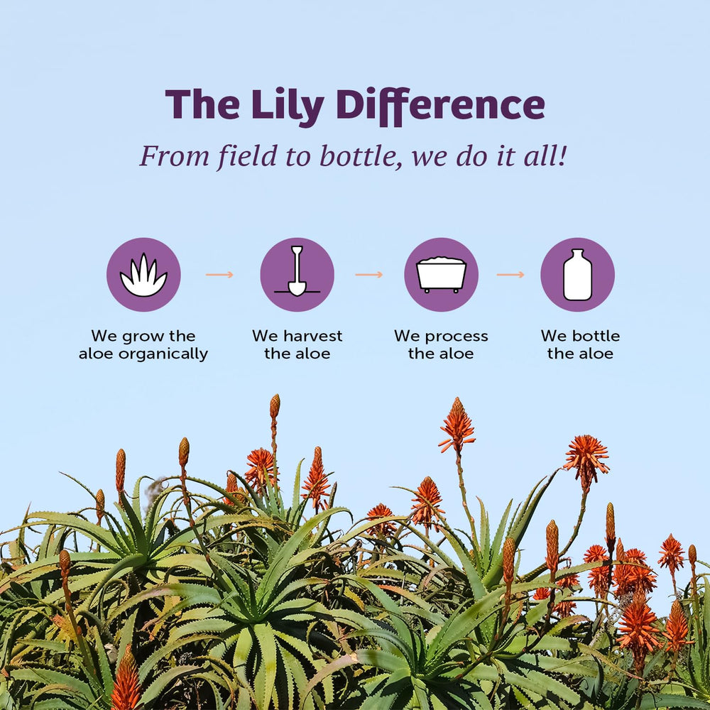 Lily Of The Desert Gelly Moisturizer packaging highlights eco friendly design