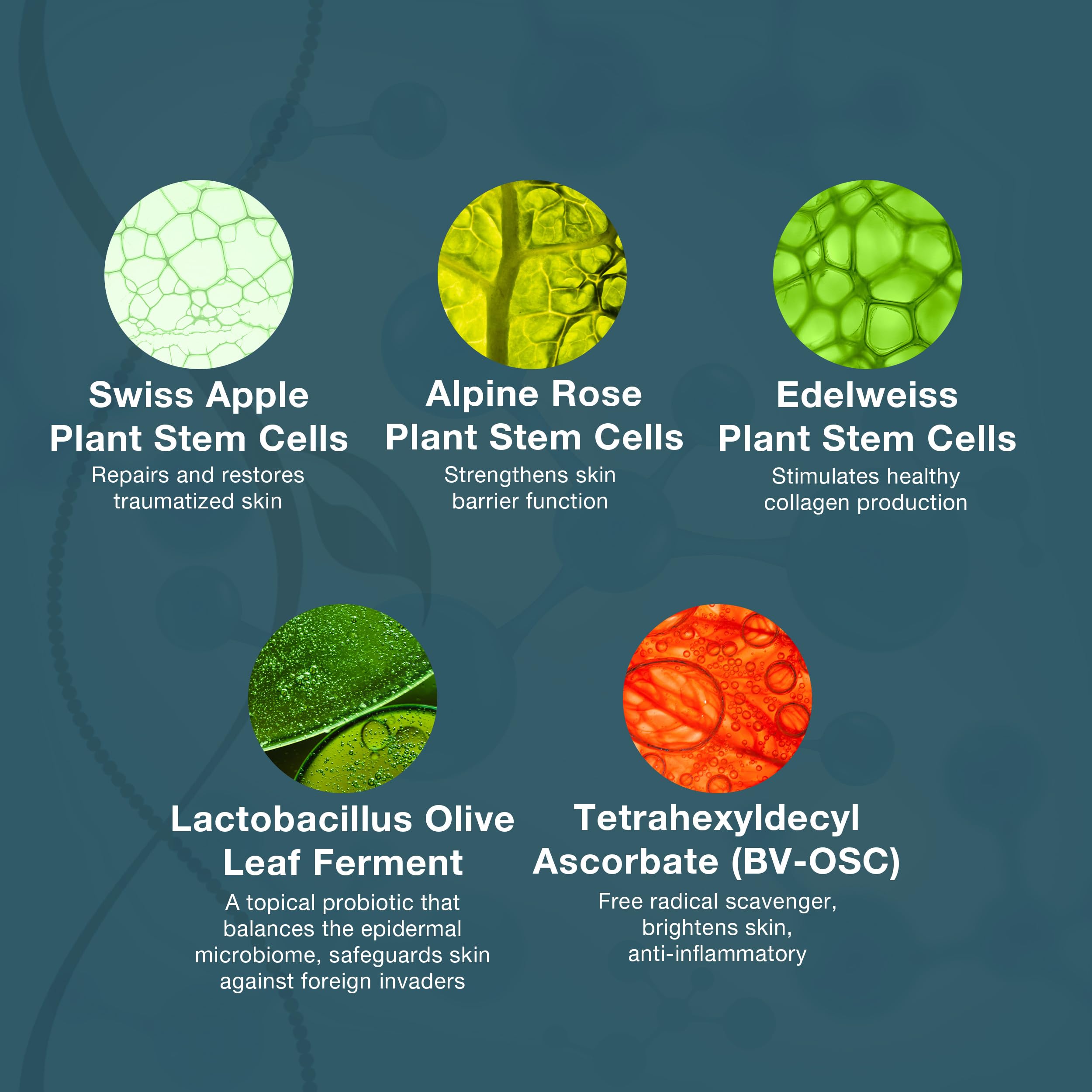 Lira Clinical BIO Hydra C Serum ingredients closeup highlights vitamin C and plant stem cells for brightness and clarity.