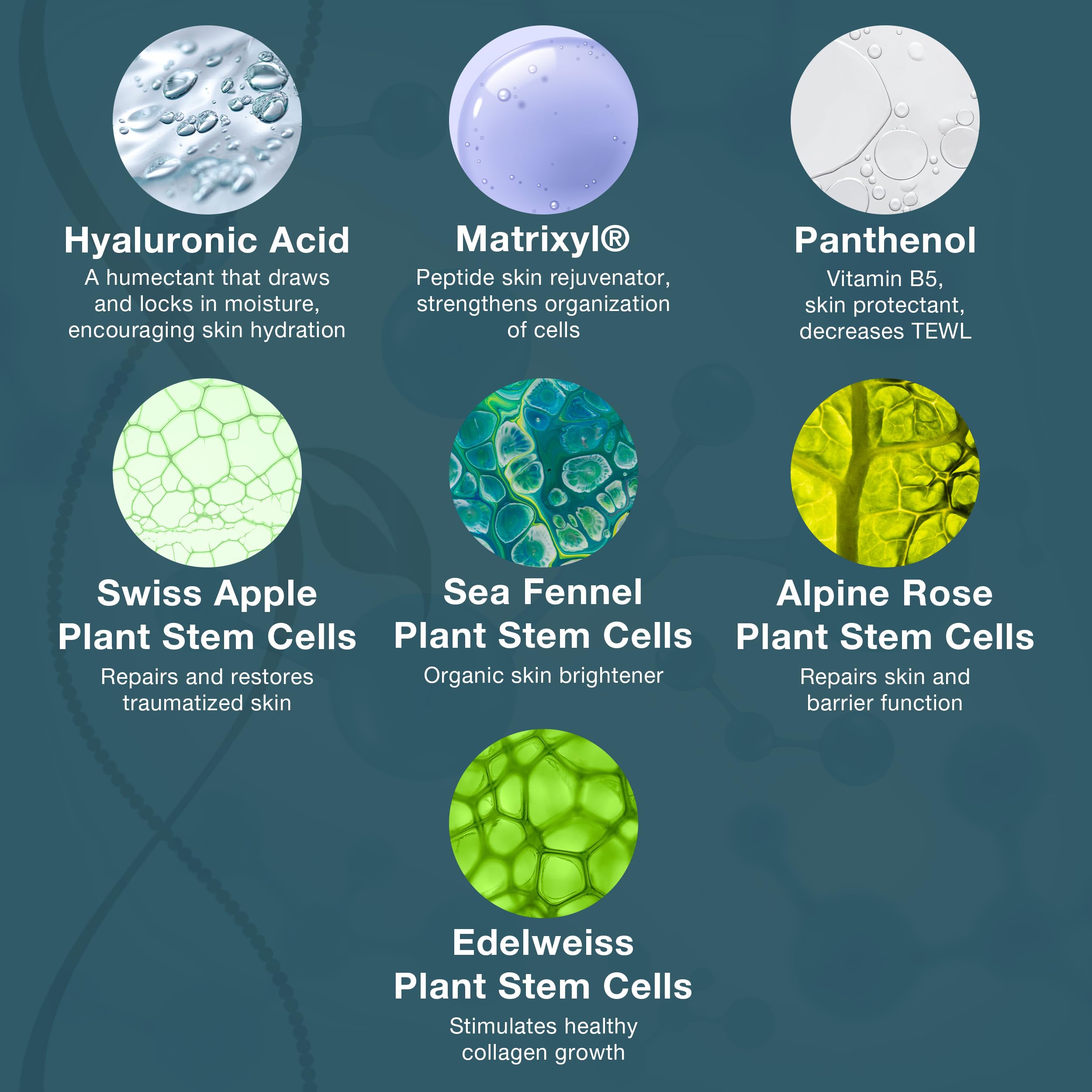 BIO Hydra Infusion plant stem cells concept image