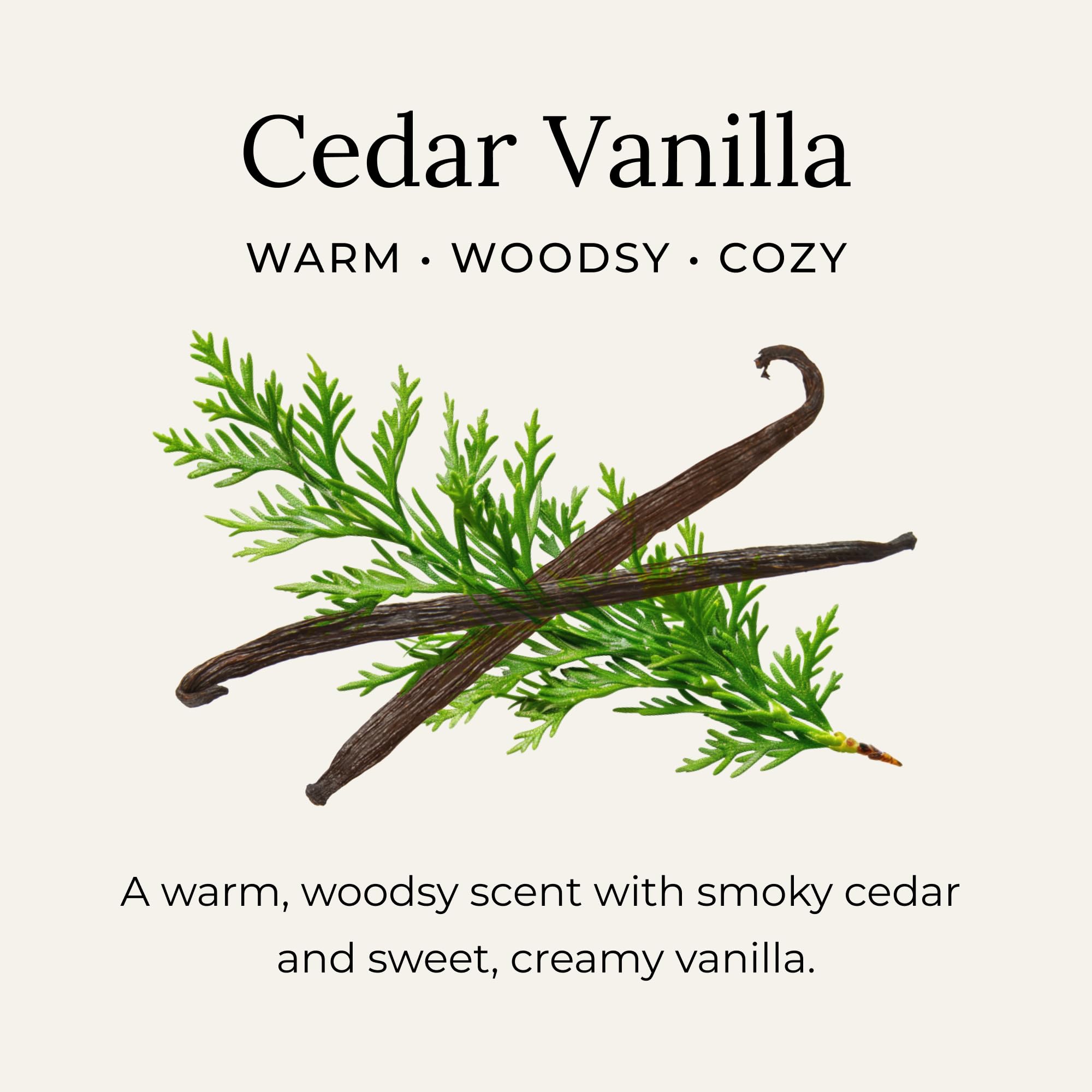 Bamboo applicator option with Little Seed Farm Cedar Vanilla deodorant for on-the-go use.