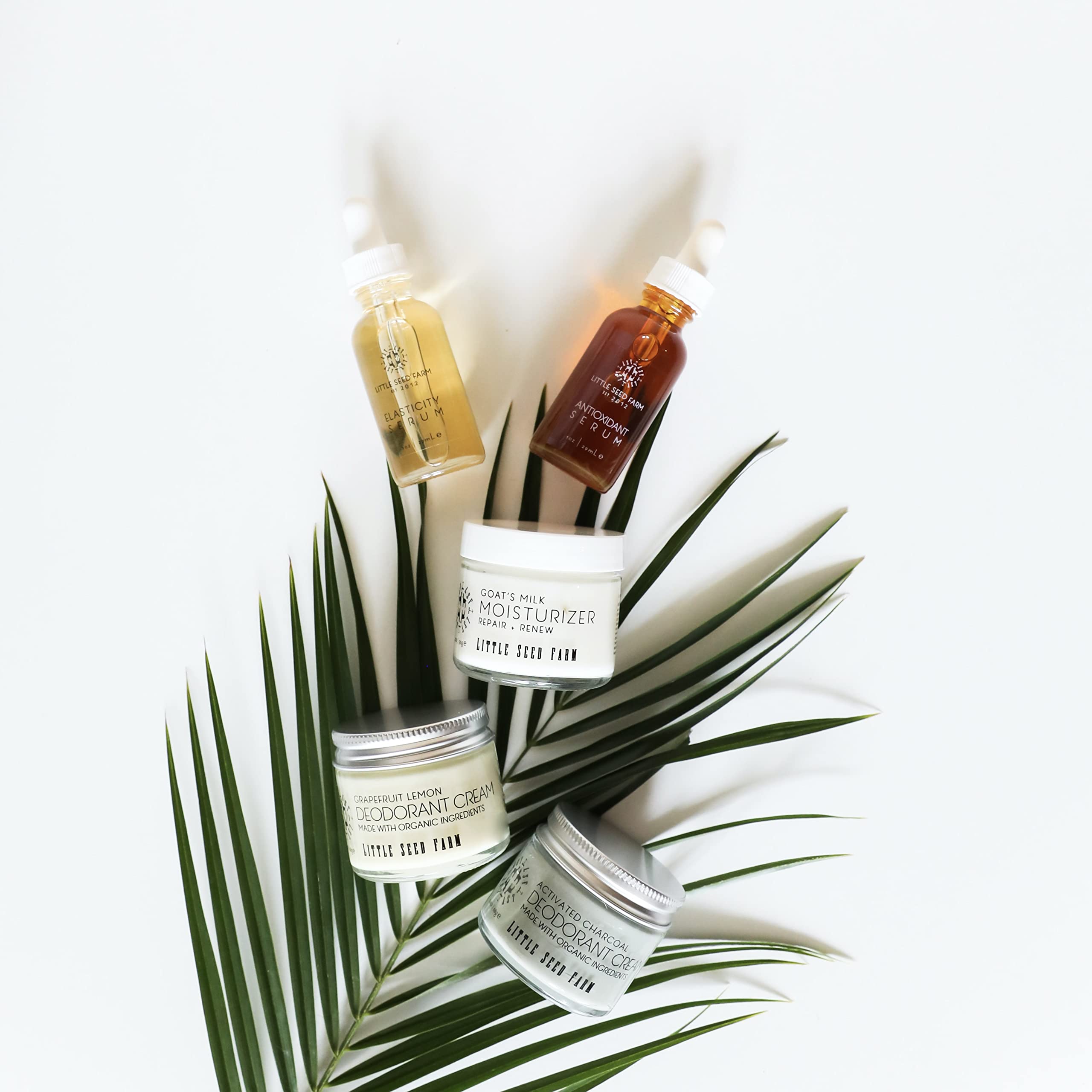 Little Seed Farm Elasticity Serum glow shows refreshed, hydrated skin.