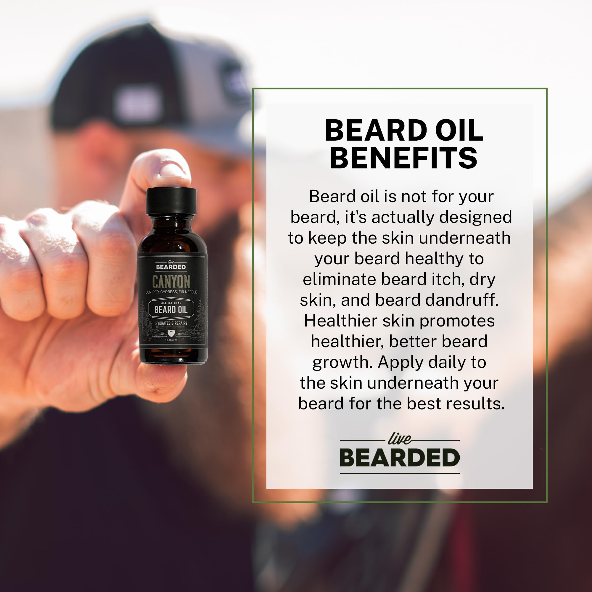 Live Bearded jojoba formula nourishes beard hair and skin.
