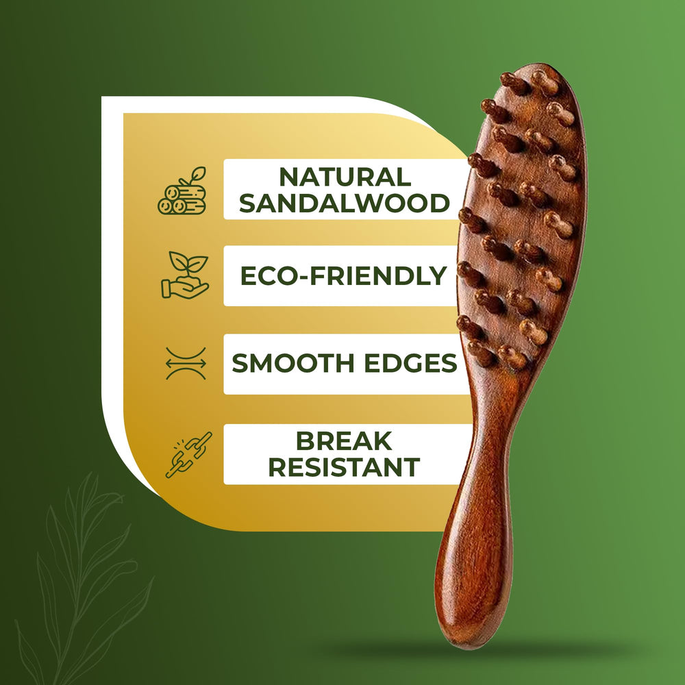 Locsanity Sandalwood Locs Brush natural bristles distributing oils for shinier locs.