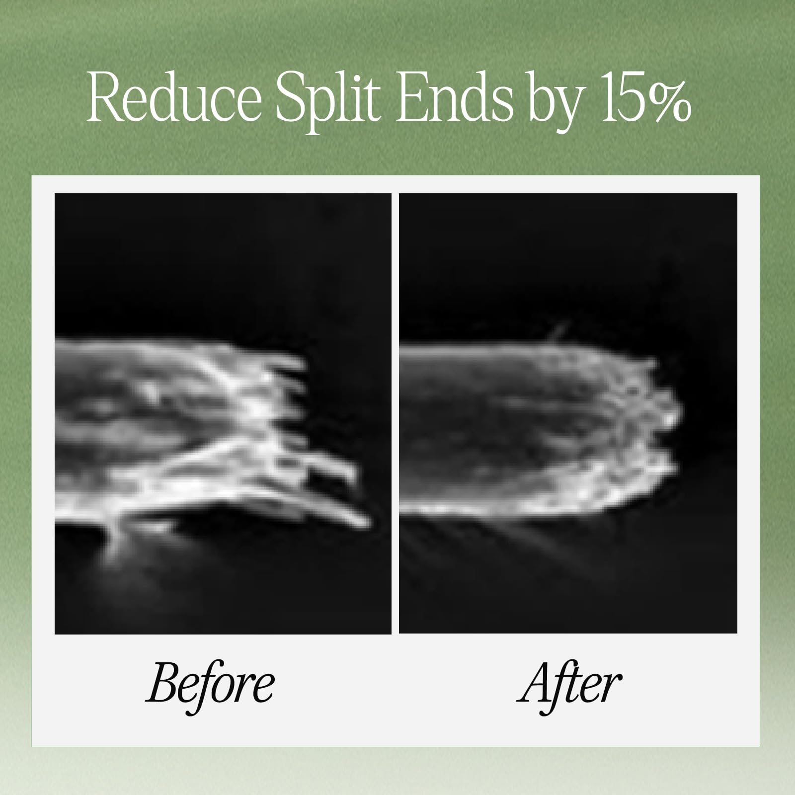 LONGTAKE Sandalwood Treatment fragrance shot highlighting woody aroma benefit.