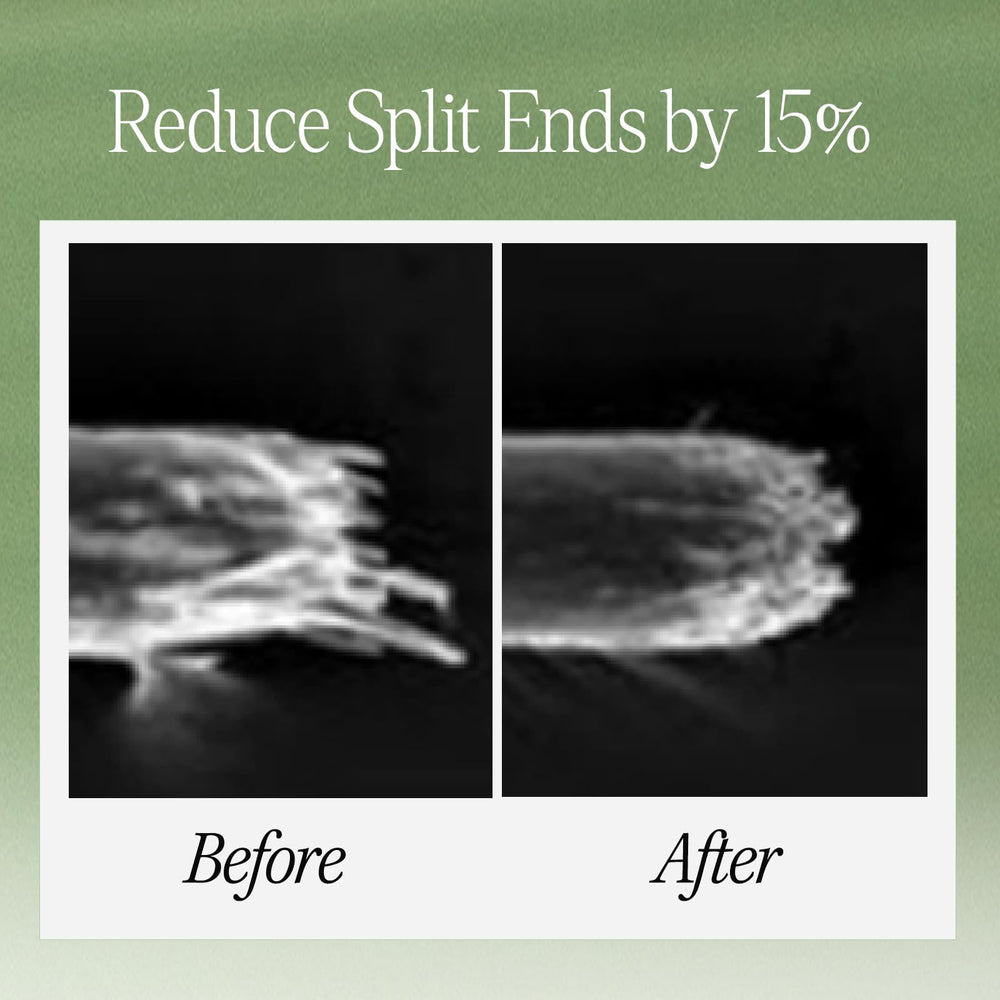 LONGTAKE Sandalwood Treatment fragrance shot highlighting woody aroma benefit.