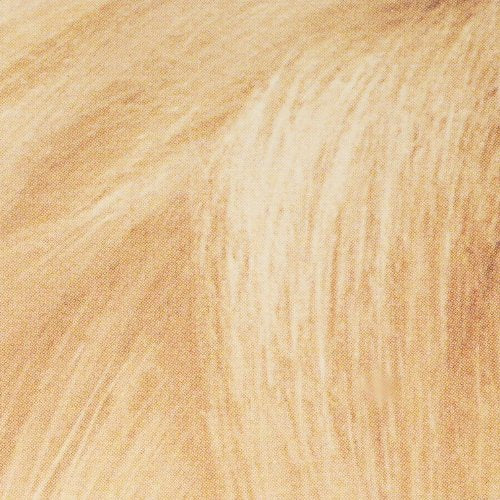 L'Oreal Paris Super Blonde kit in-use illustration captures smooth root-to-tip lightening