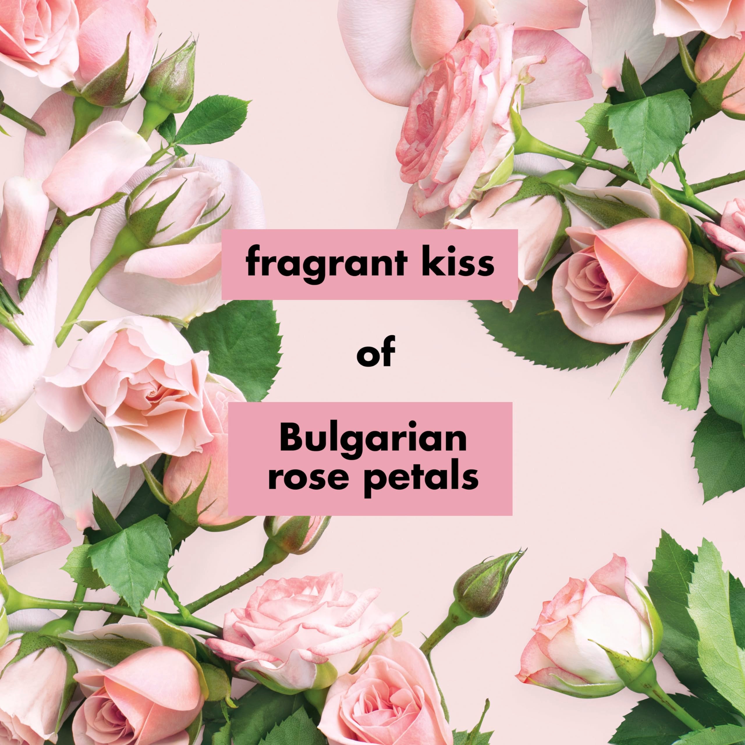 Love Beauty and Planet Delicious Glow rose petals closeup with Bulgarian fragrance for gentle luxury.