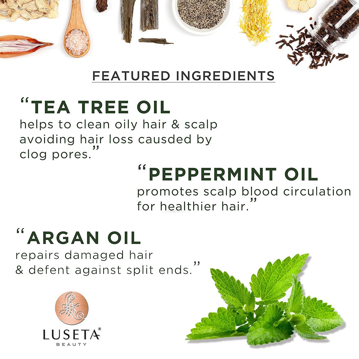 Luseta Tea Tree & Mint Shampoo hair closeup after detangling.