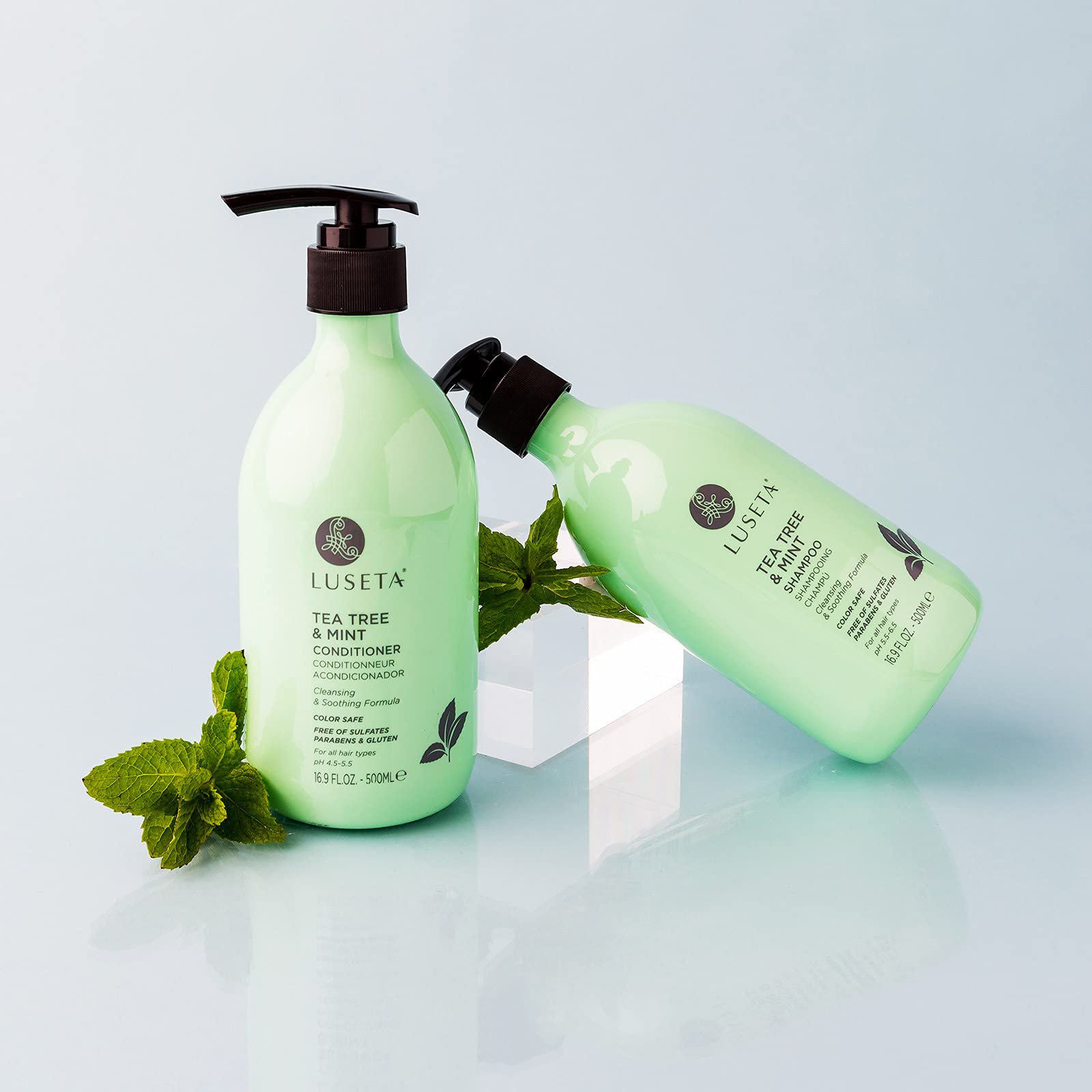 Luseta Tea Tree & Mint Shampoo scalp dandruff relief concept.