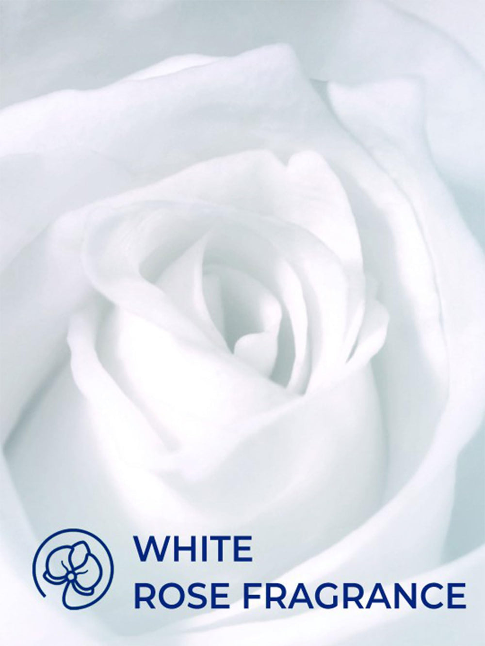 LUX International Creamy Perfection Soap gift-ready-pack presents a thoughtful gift option.