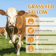 Lxitian grass-fed beef-tallow balm packaging on a clean surface