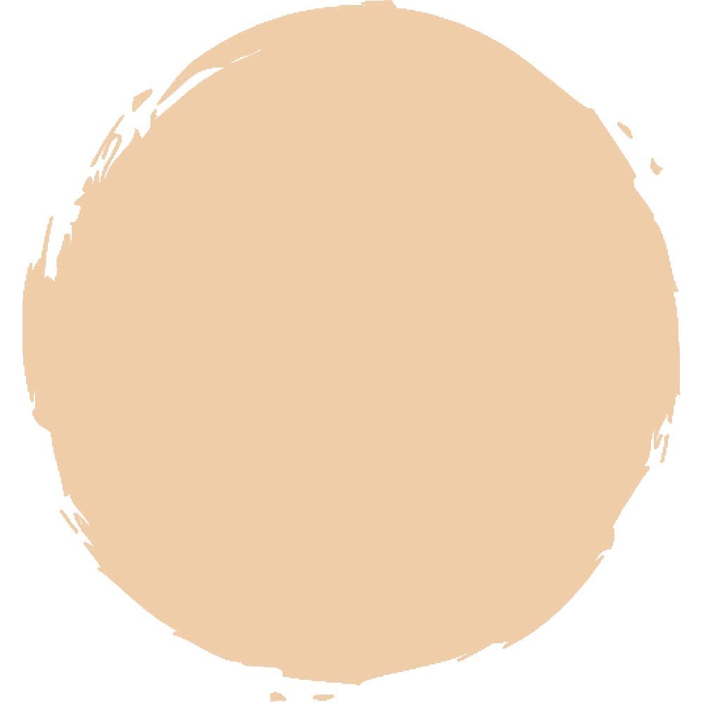 MAC Studio Fix Powder Plus NC25 swatch on skin preserves true color