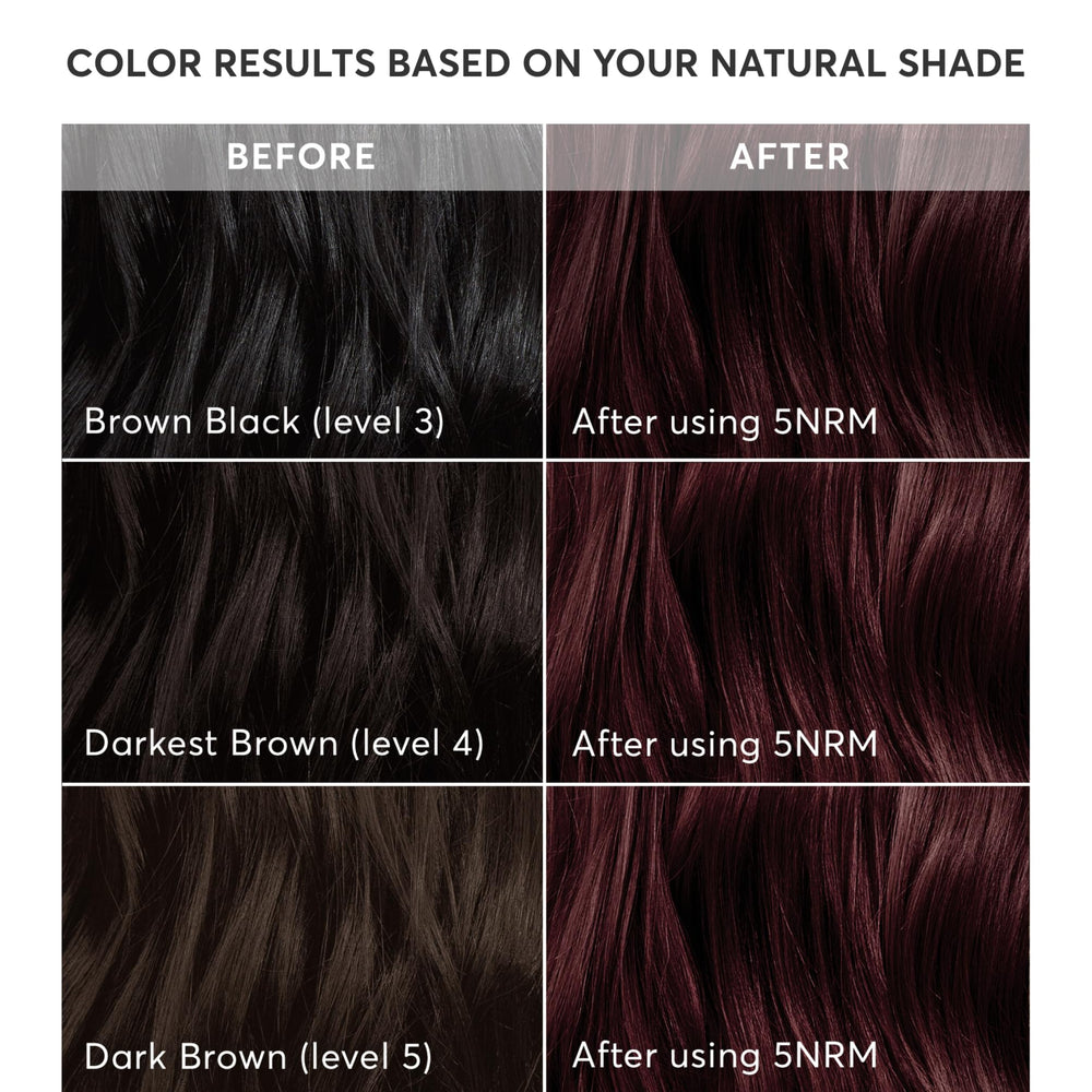 Madison Reed Radiant Color Kit Trieste Red ginseng-root-extract vial hints at scalp-friendly care.