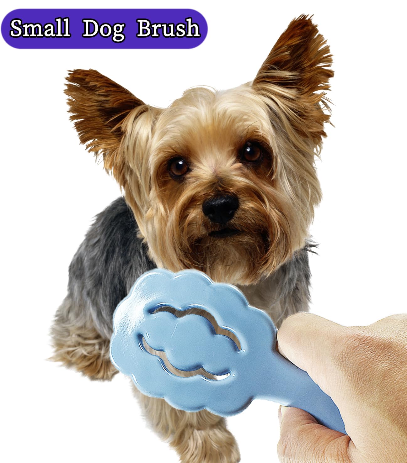 MAEELOU Cloud Shape Brush blue on a small dog demonstrates safe skin contact.