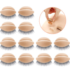 Maitys replacement eyelids tan 3D design for realistic lash training practice.