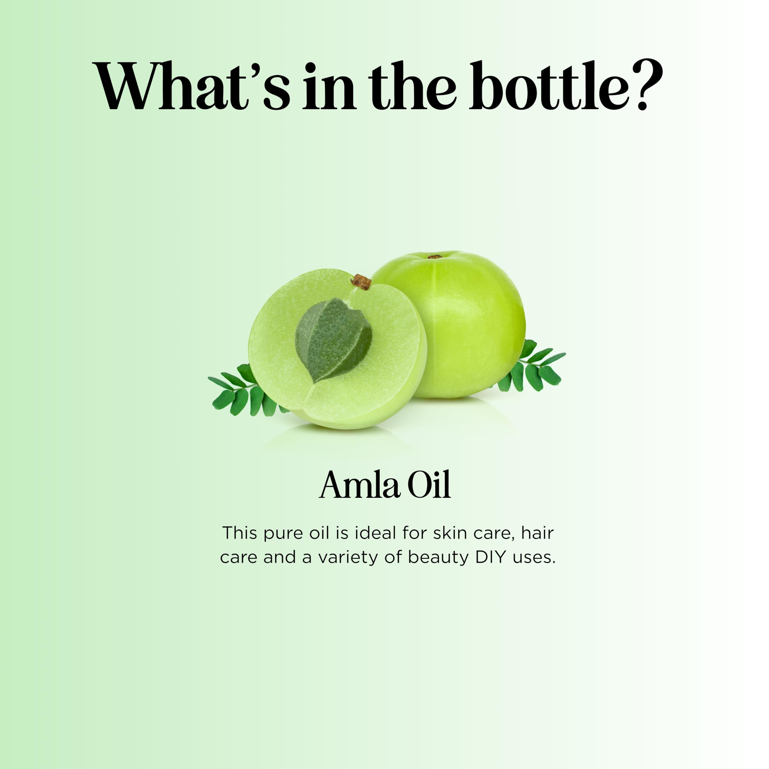 Maple Holistics Amla Oil organic-certification label reinforces clean ingredients.