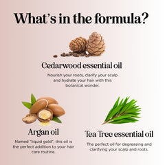 Maple Holistics cedarwood rosemary shampoo natural essential oils for refreshed hair.