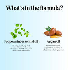 Maple Holistics five-mint-essential-oils closeup highlights cooling scalp care benefits.