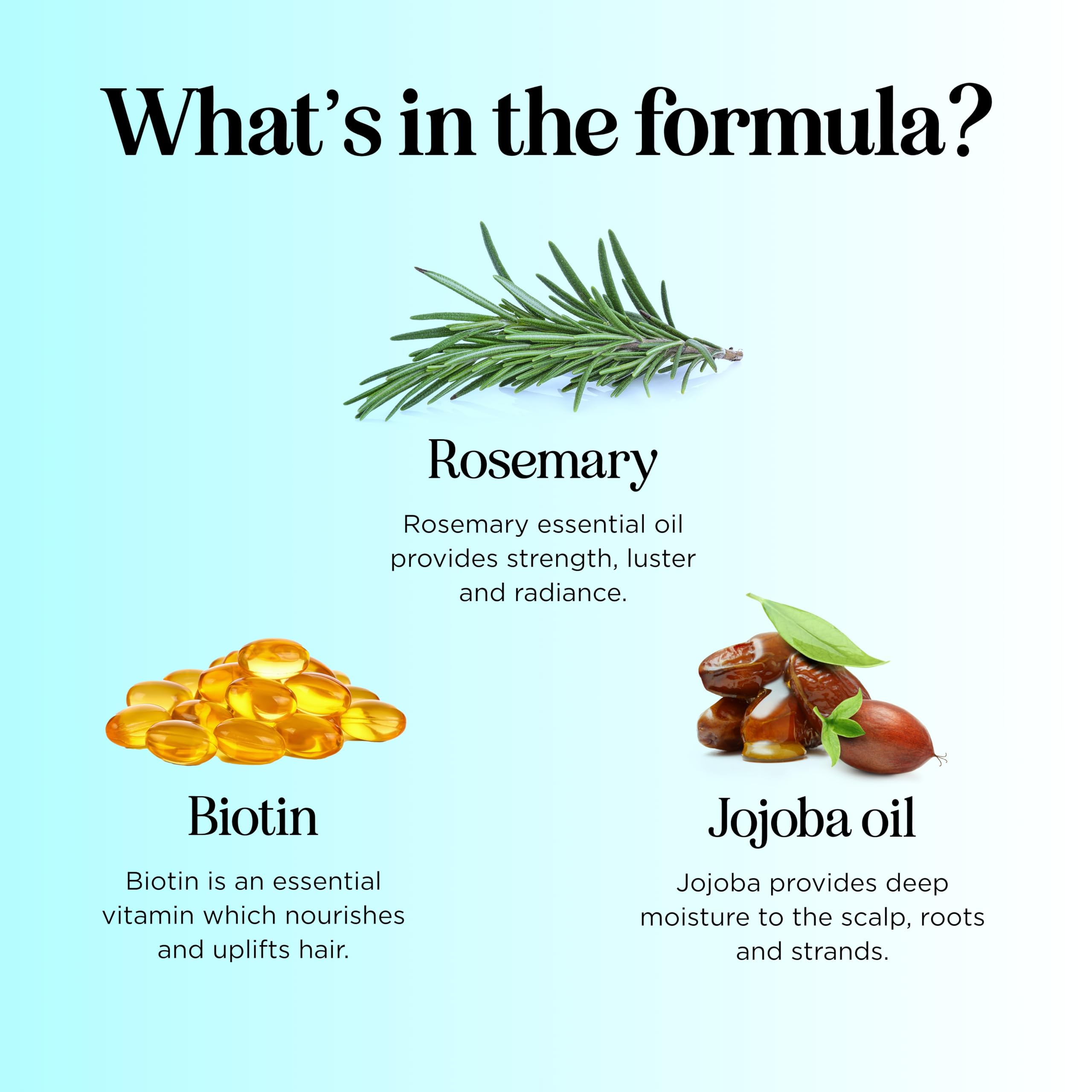 Maple Holistics Rosemary Biotin conditioner label closeup, plant proteins and B vitamins