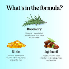 Maple Holistics Rosemary Biotin conditioner label closeup, plant proteins and B vitamins