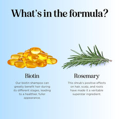 Maple Holistics rosemary-biotin-shampoo-ingredients-rosemary-oil showcases natural oils for scalp nourishment.