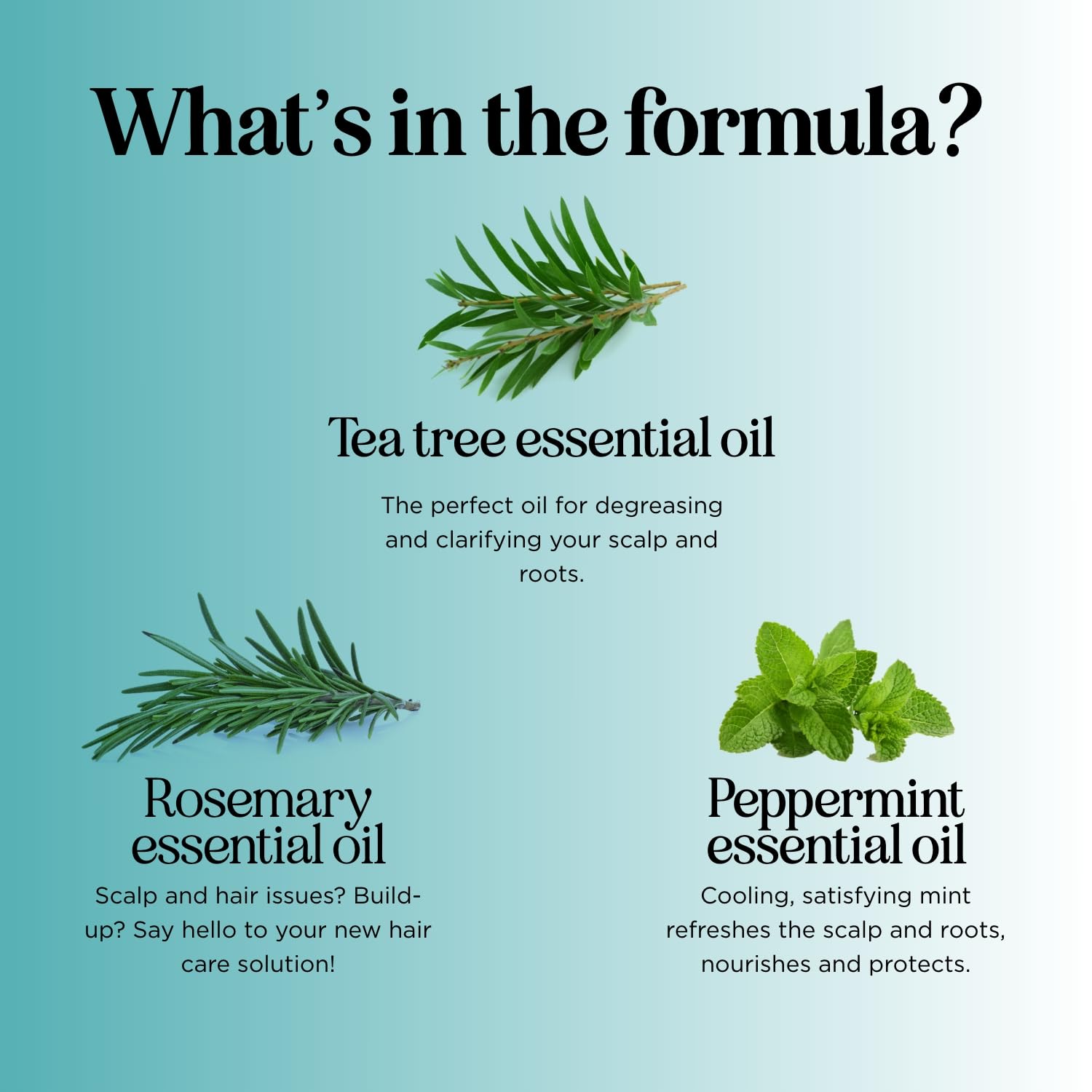 Maple Holistics shampoo pump in action for easy, even distribution.