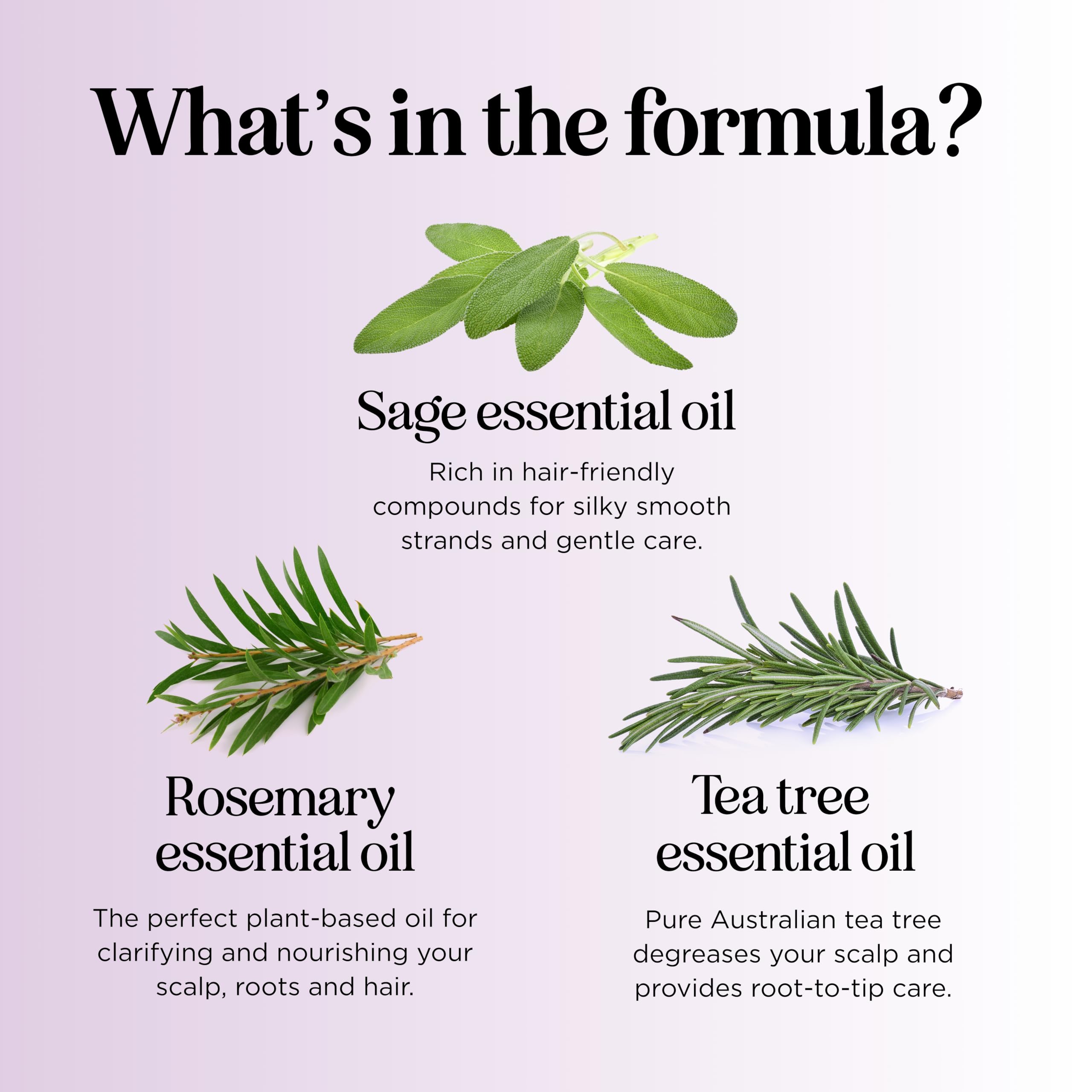 Maple Holistics Sage and Rosemary Shampoo dry scalp relief shot hints hydration.