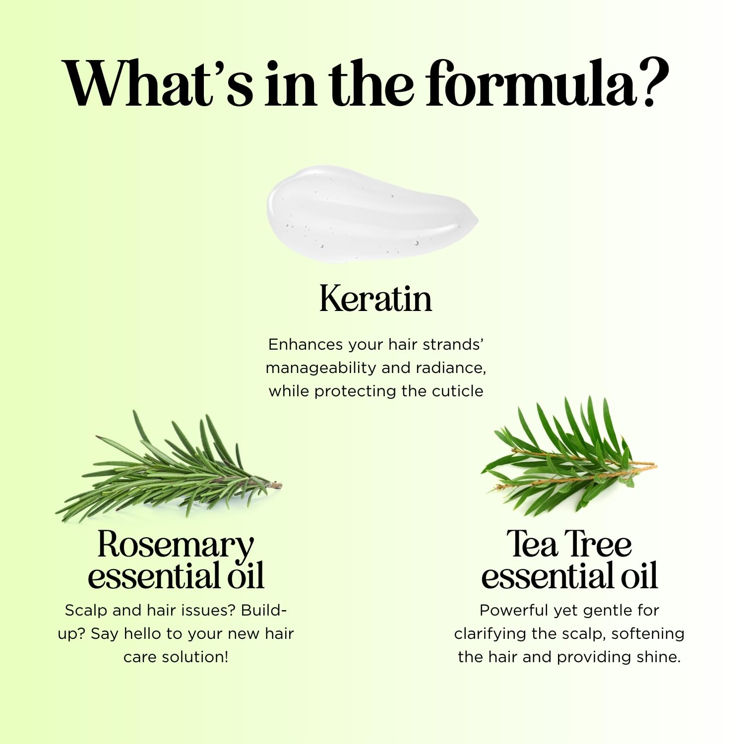 Maple Holistics sulfate-free ingredients image reassures gentle cleansing for sensitive scalps