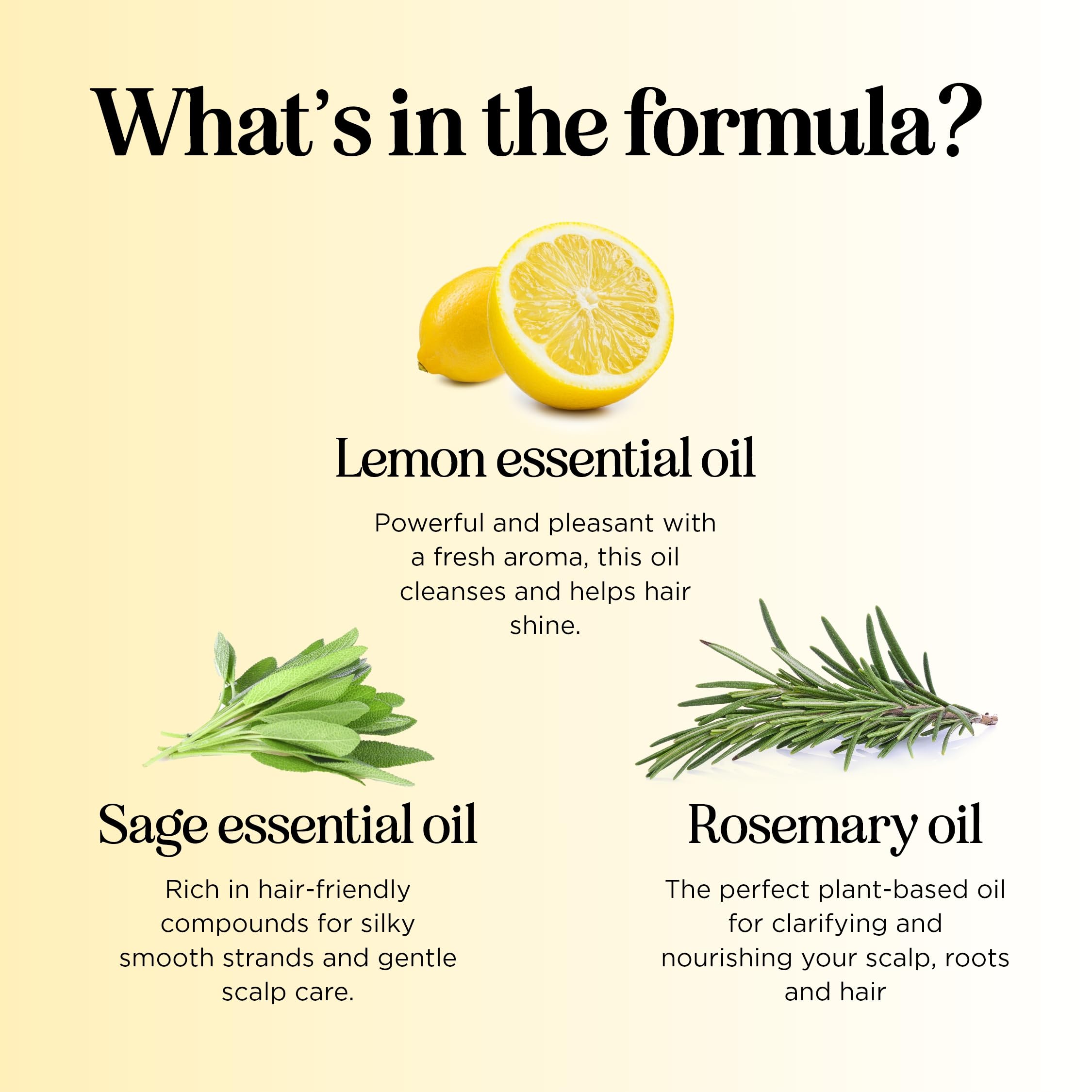 Maple Holistics scent lemon-sage-tea-tree image conveys fresh herbal aroma during cleansing