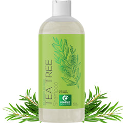 Maple Holistics tea tree clarifying shampoo bottle shows purifying formula for oily hair