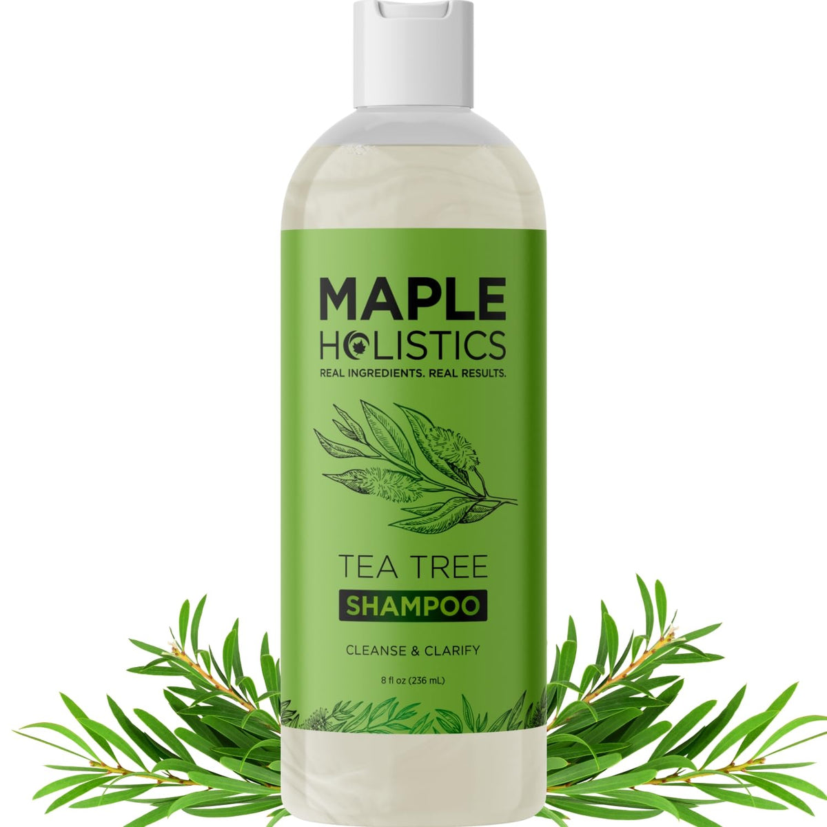 Maple Holistics Tea Tree Shampoo bottle supports refreshing cleanse for oily hair