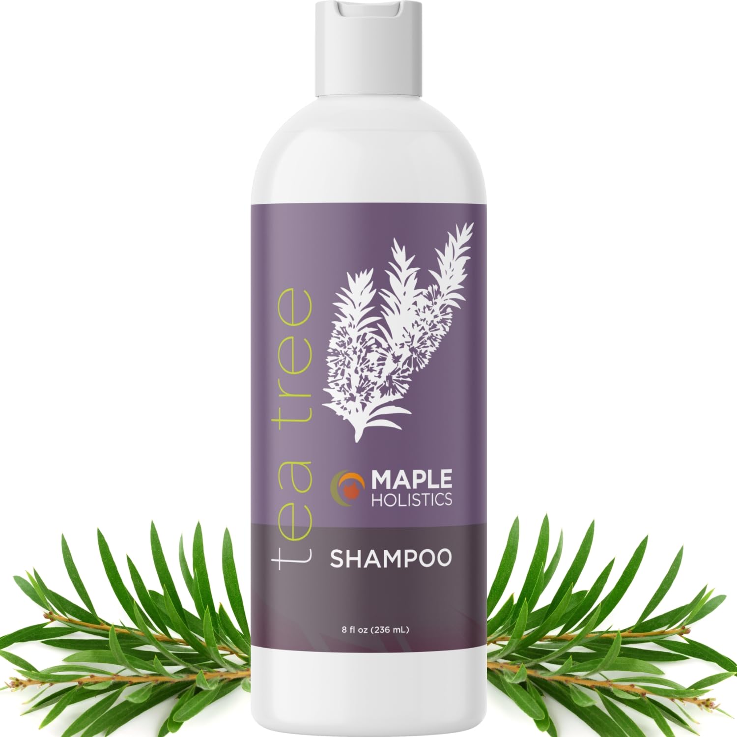 Maple Holistics Tea Tree Shampoo bottle clarifies oily hair for buildup-free scalp.