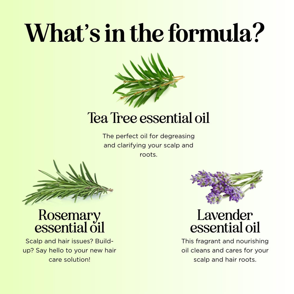 Maple Holistics Tea Tree Shampoo label highlights essential oils for hair and scalp care