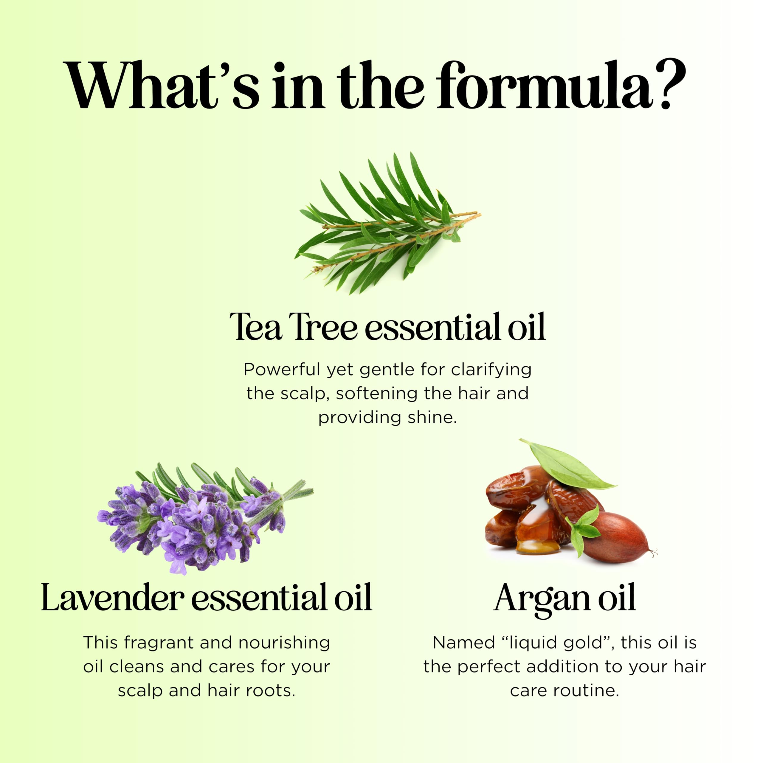 Maple Holistics vegan-sulfate-free icon emphasizing a clean, responsible formula