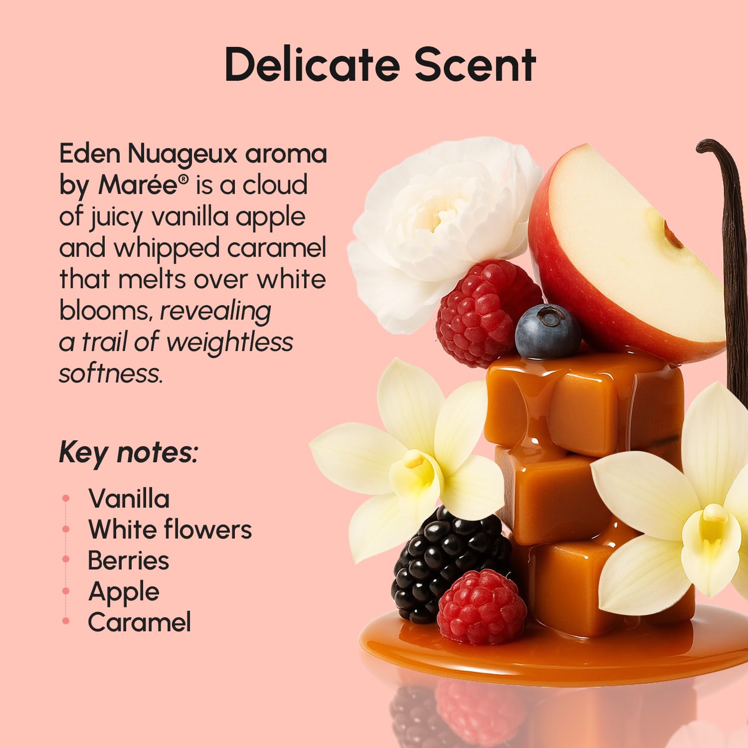 MAREE Shea butter and argan oil blend showcases rich hydration.