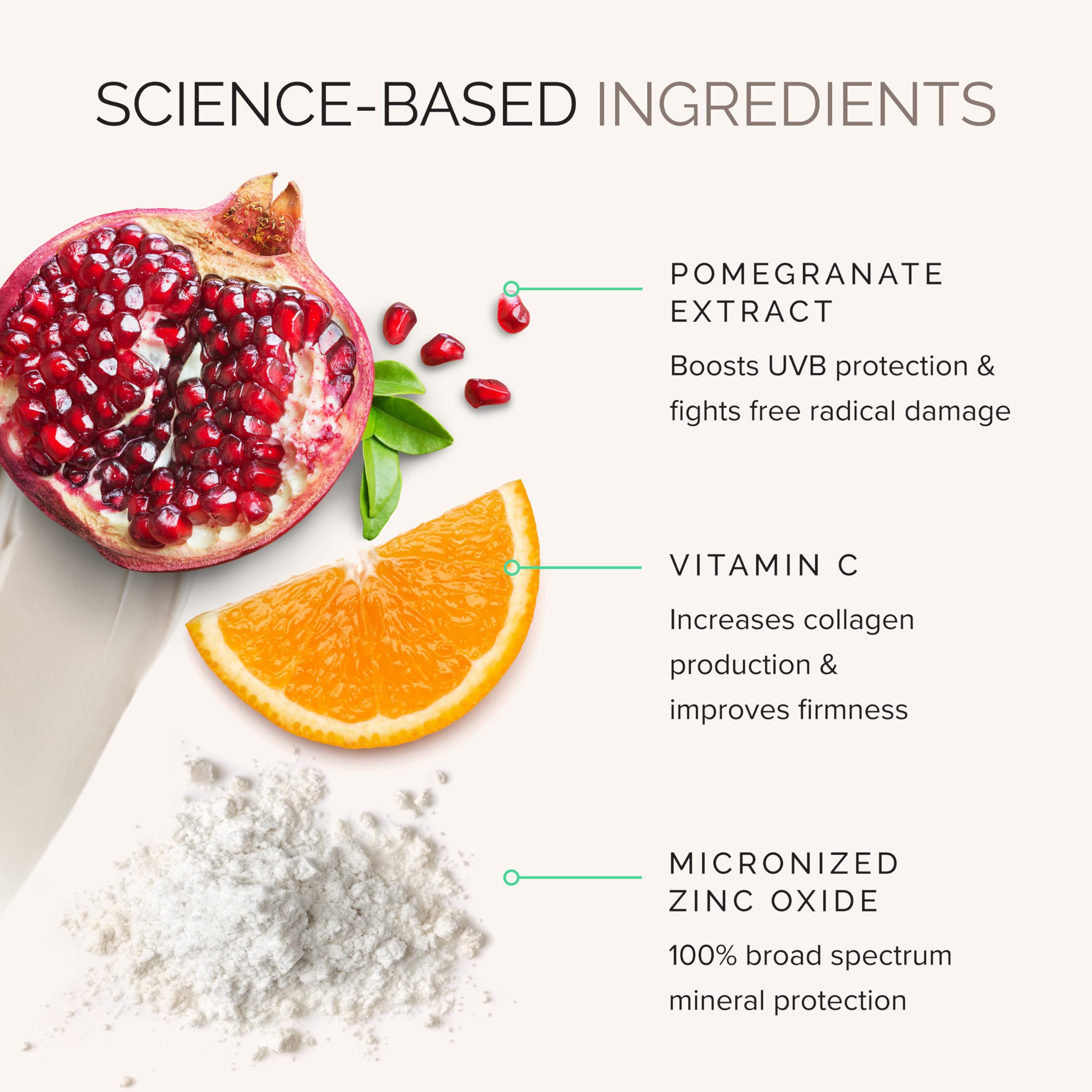 MDSolarSciences antioxidants image highlights Vitamin C, Green Tea, Pomegranate for skin nourishment