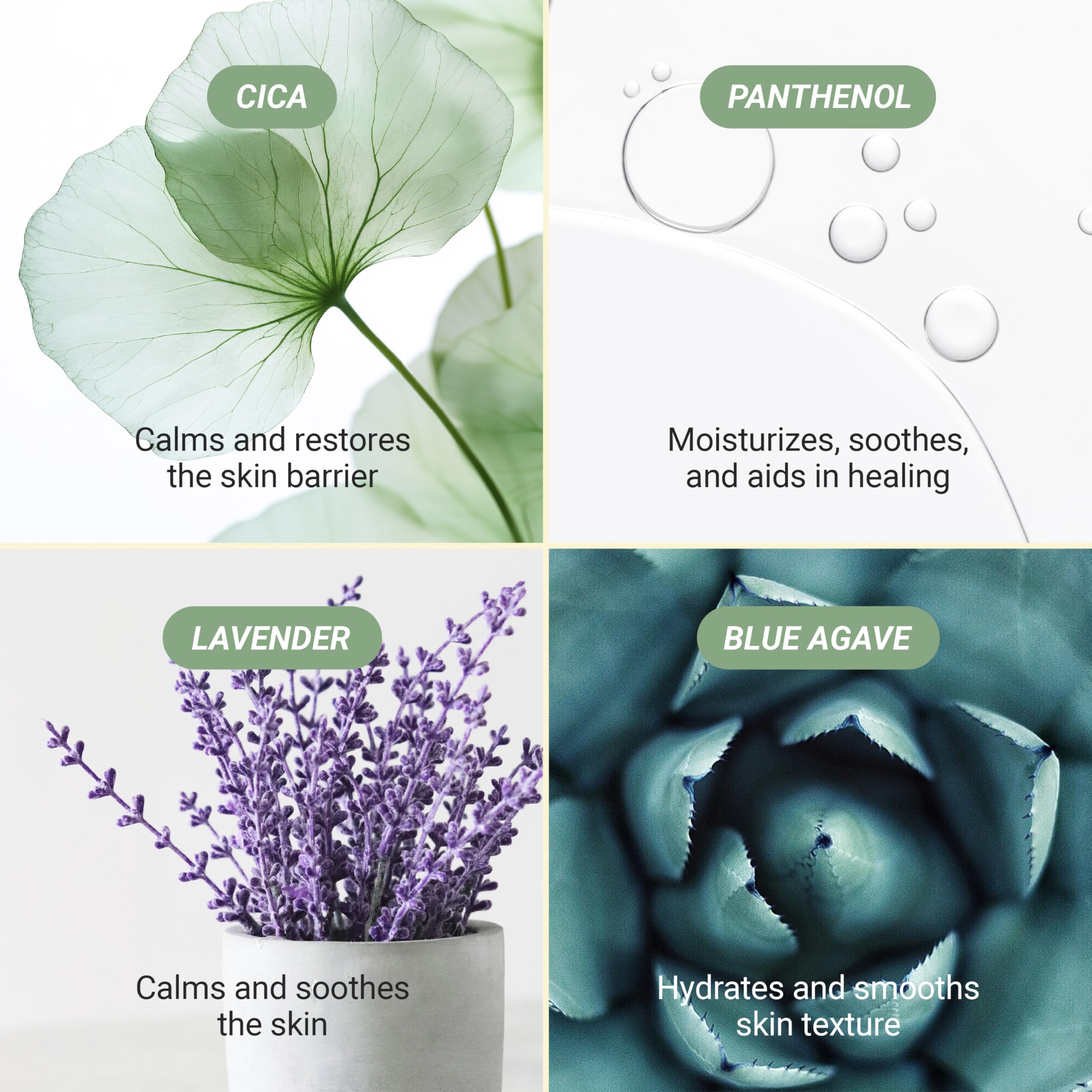 Meebak K-beauty formulation delivers gentle, hydrated skin after cleansing