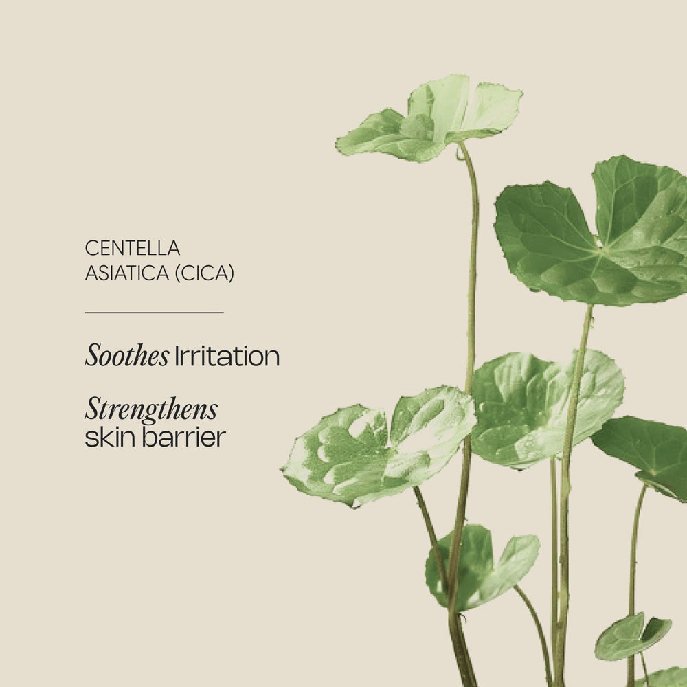 Meebak Eye Cream with ginseng berry swipe suggesting energized, awake look.