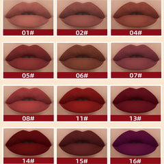 Melemando lipstick swatches on arm displaying 12 shades for shade matching