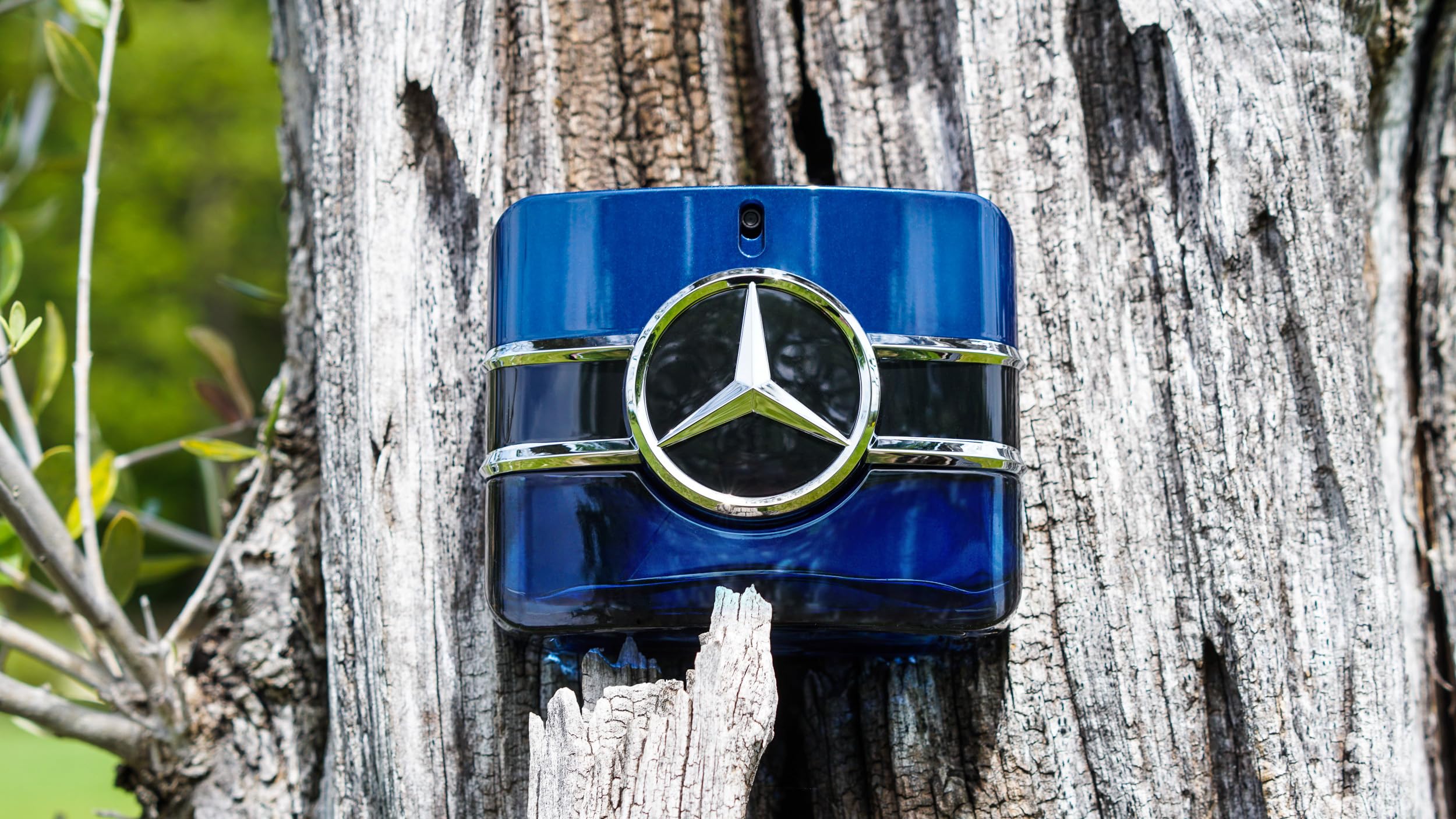 Mercedes-Benz Sign heart notes close-up featuring lavender and orange blossom for depth.
