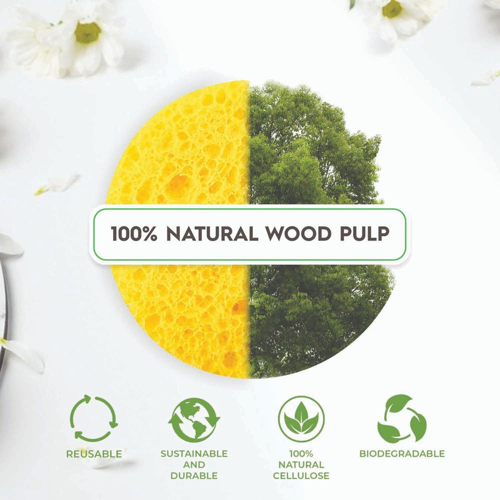 Miaform biodegradable beauty sponges support sustainable skincare routines