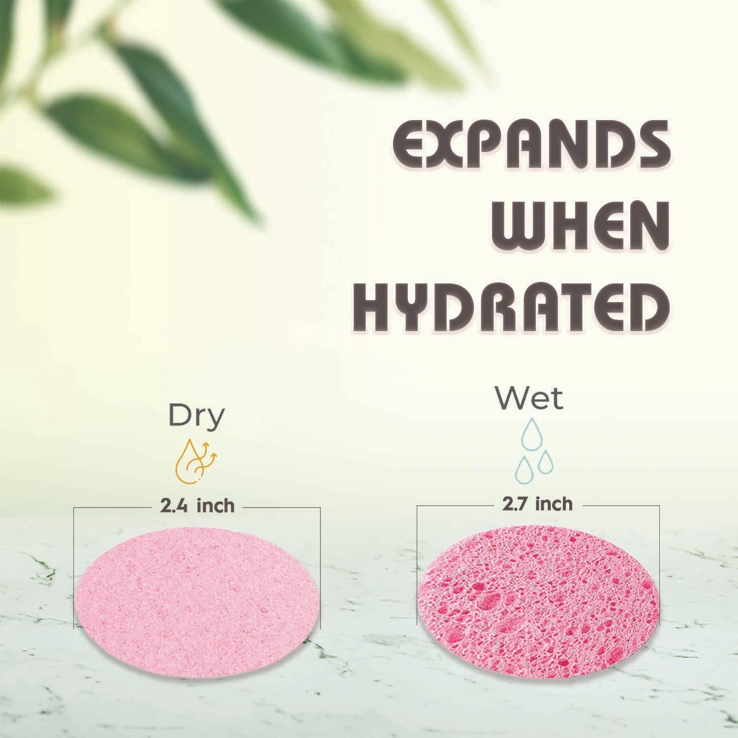 miaform compact sponges cleaning with gentle cleanser for smoother skin