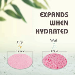 miaform compact sponges cleaning with gentle cleanser for smoother skin