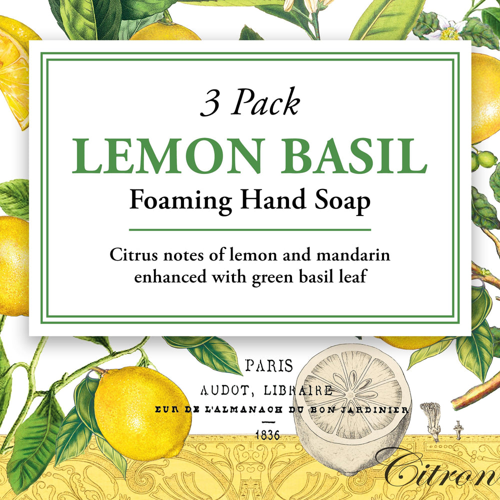 Michel Design Works foaming hand soap with shea butter and aloe for moisturizing cleansing