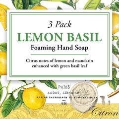 Michel Design Works foaming hand soap with shea butter and aloe for moisturizing cleansing